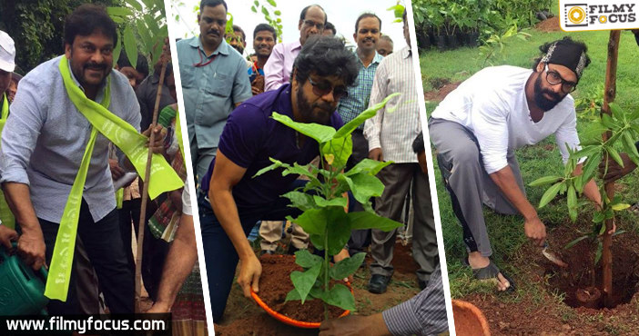 T’Town celebs ask peeps to plant more trees
