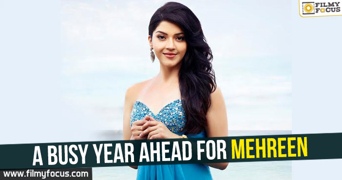 A Busy Year Ahead For Mehreen