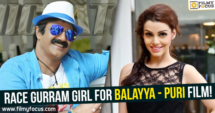 Race Gurram girl for Balayya – Puri film!