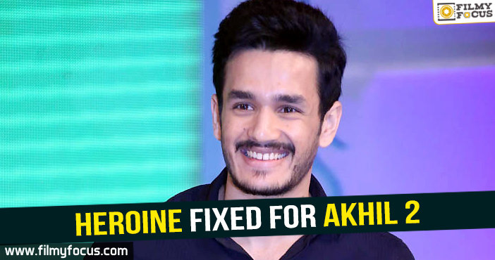 Young Assistant director to debut as lead beside Akhil?