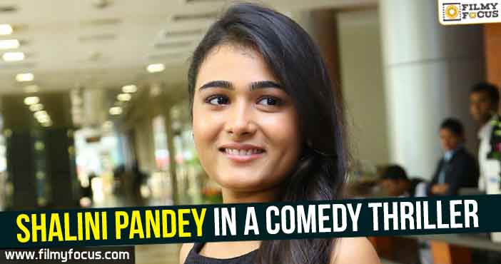 Shalini Pandey in a comedy thriller