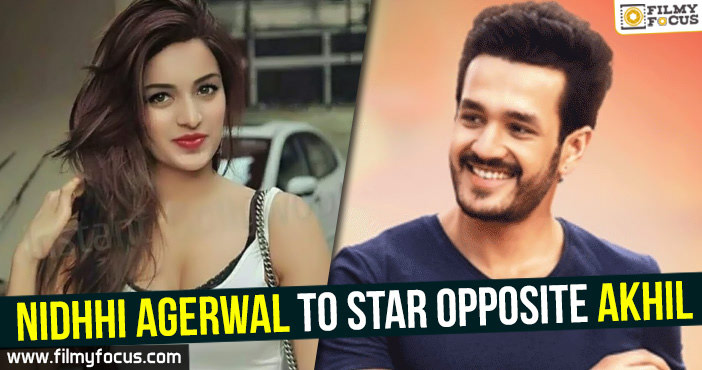 Nidhhi Agerwal to star opposite Akhil