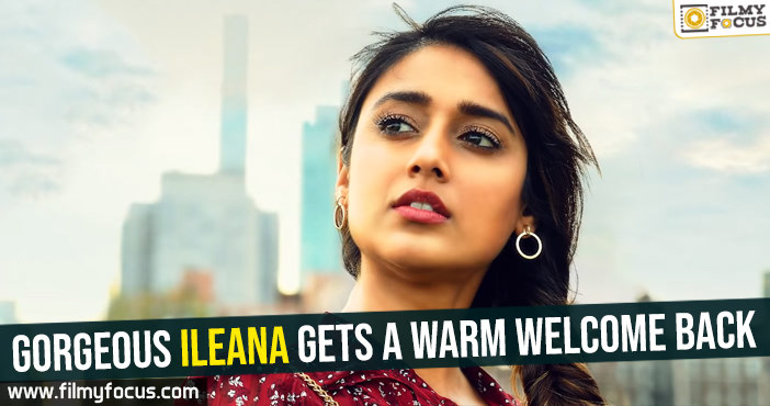 Gorgeous Ileana gets a warm welcome back!