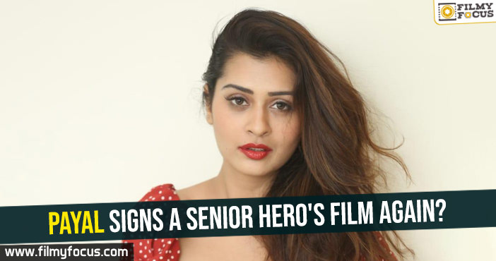 Payal signs a senior hero’s film again?