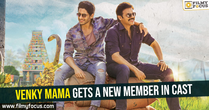 venky-mama-gets-a-new-member-in-cast