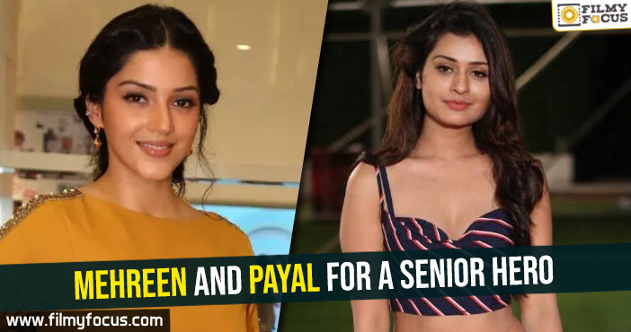 Mehreen and Payal for a senior hero