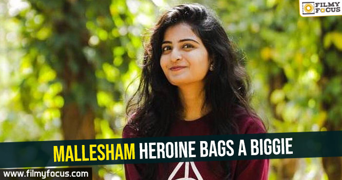Mallesham heroine bags a biggie
