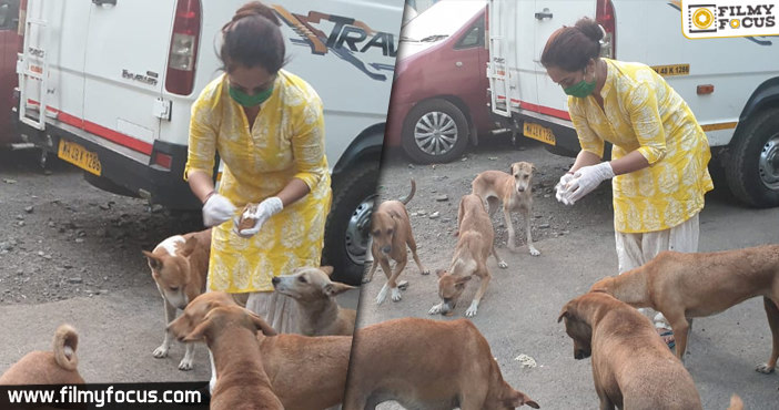 Coronavirus Pandemic: This Television actress was seen feeding stray dogs