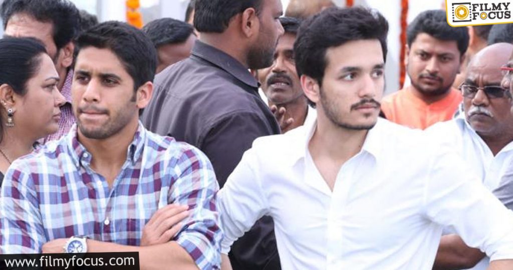 Naga Chaitanya And Akhil's Different Paths Become A Talking Point