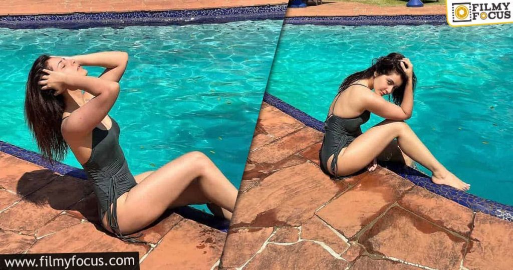 Raashi Khanna's Bikini Pictures Go Viral