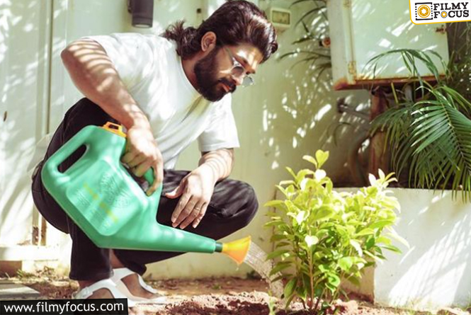 Icon Star Allu Arjun Posts on World Environment Day, Makes this Appeal to Public!